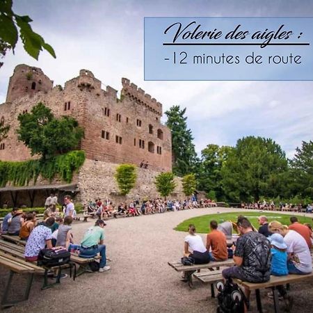 Appart 4 pers design et cosy avec Jardin au Cœur de Sélestat Exterior foto